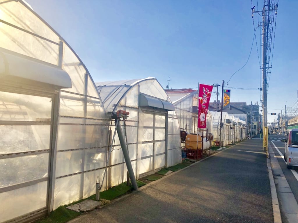 イシイノウエン