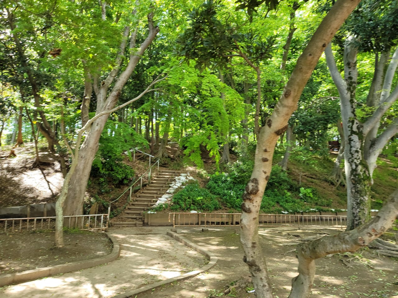 船橋田喜野井公園8