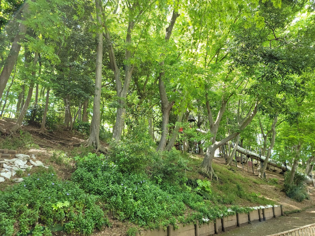 船橋田喜野井公園9