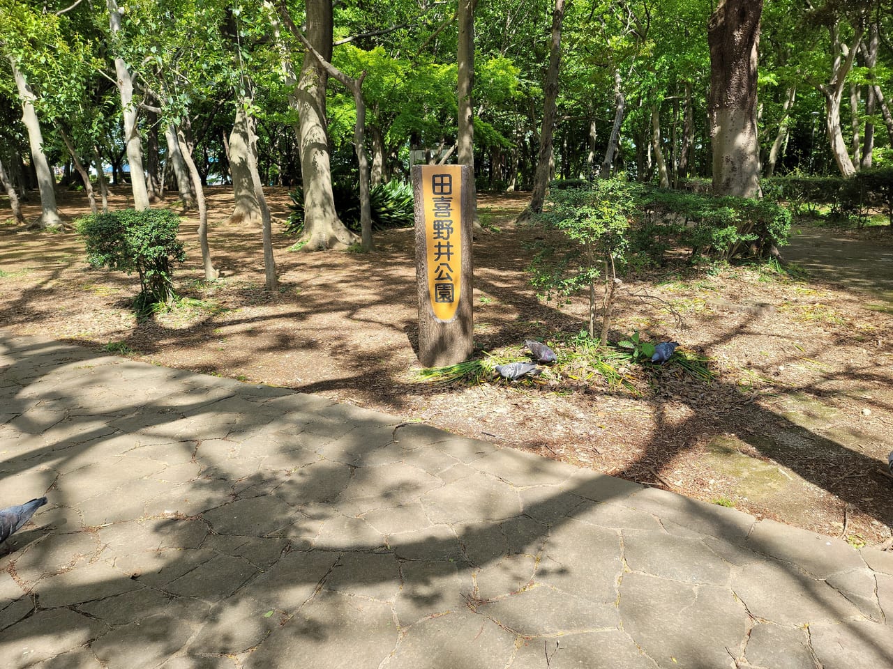 船橋田喜野井公園17