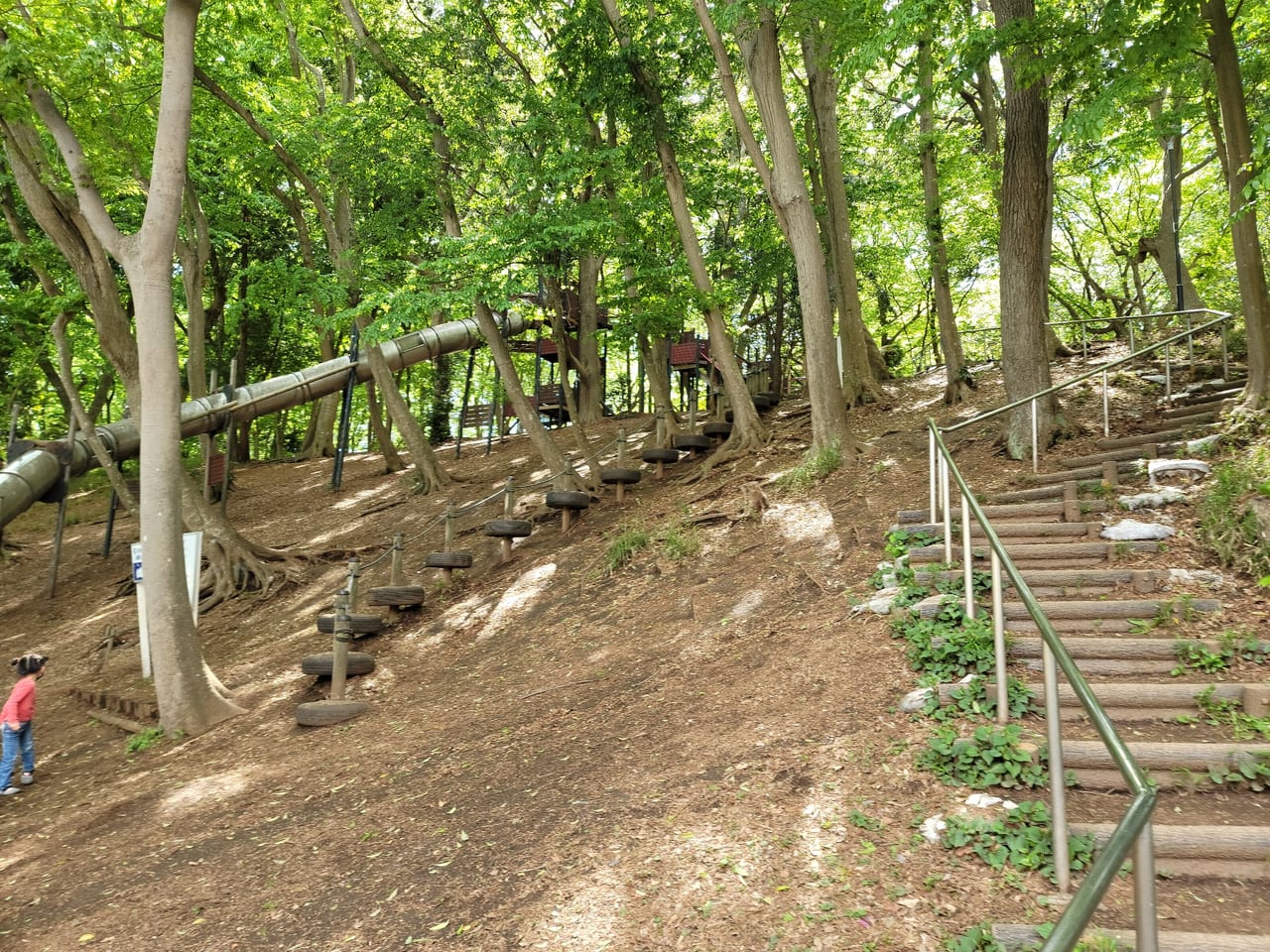 船橋田喜野井公園14