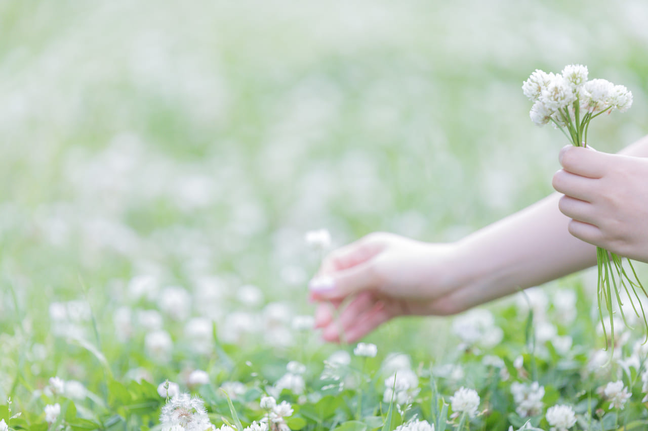 お花摘み