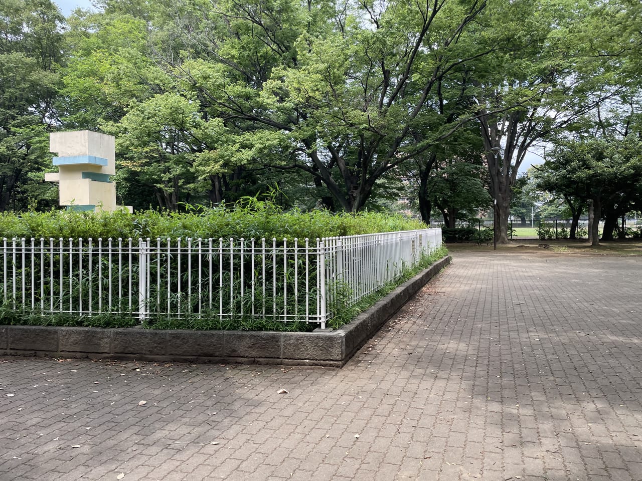 薬円台公園2023.6.26-2